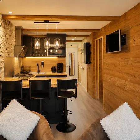 La Vanoise - Chaleureux Aux Pieds Apartment